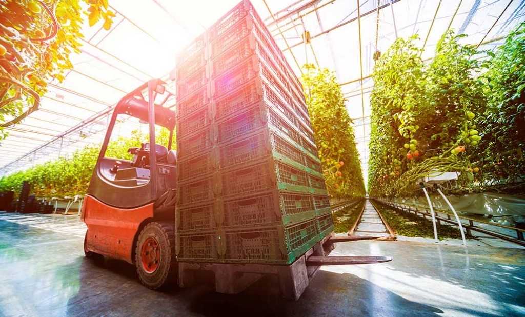 Electric forklift transporting a pallet in a greenhouse.